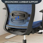 Chaise de bureau ergonomique FlexiSpot pivotante à 360°, réglable en hauteur, en maille, avec appui-tête, soutien lombaire et accoudoirs réglables.